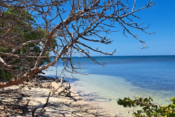 Cayo Iguana 3