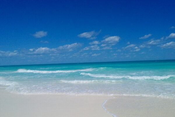 DAG 14 VARADERO