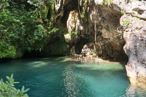 Topes de collantes