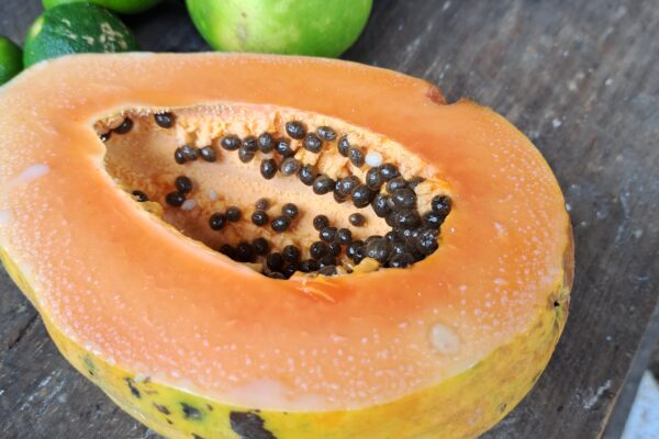 fruits
