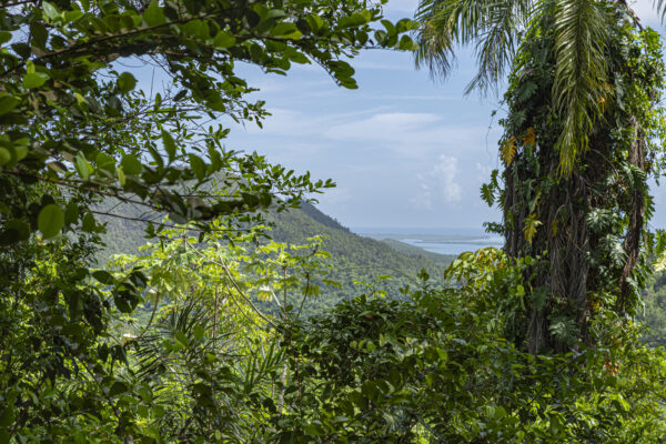 2024_Cuba_996