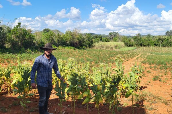 DAG 5 VINALES (2)