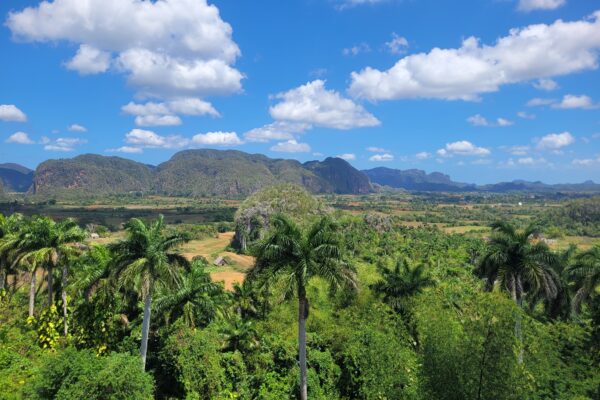 Dag 4 Vinales