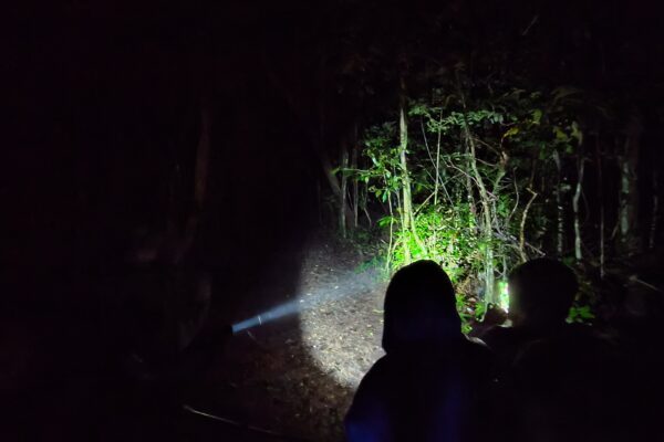 Dag 6 sarapiqui nightwalk 2