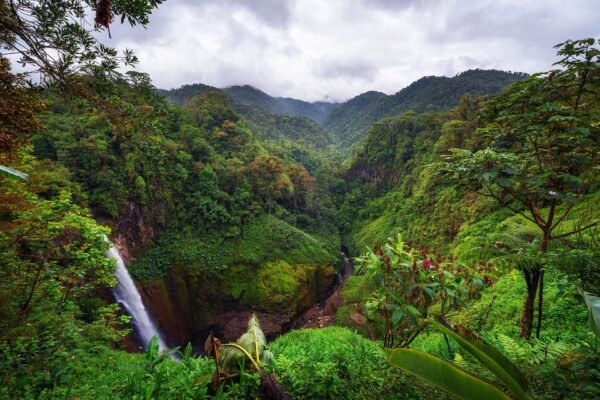 alajuela-costa-rica-catarata-del-toro-waterfall-surrounding-mountains-shutterstock_1949246038.jpg_383a876e7e