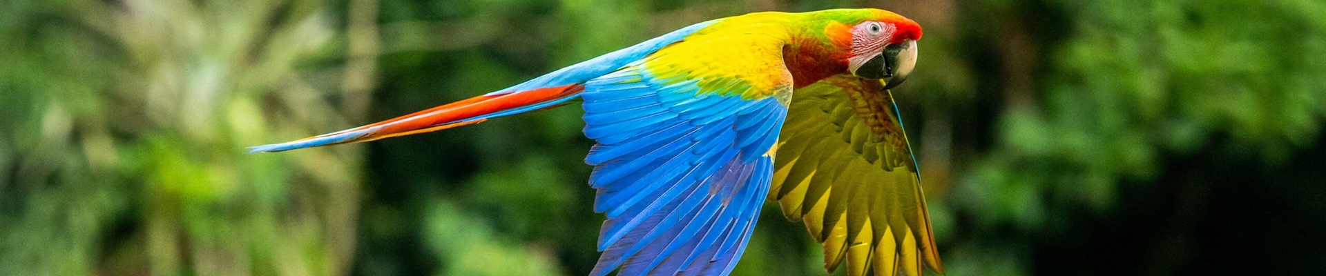 Landschap in Costa Rica