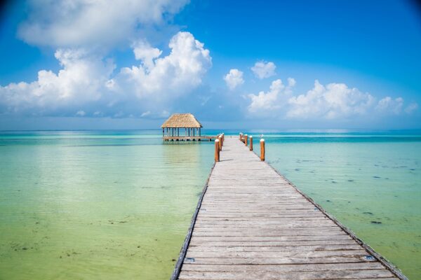 DAG 11 HOLBOX