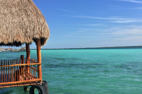DAG 4 BACALAR
