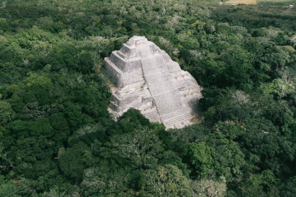 DAG 5 Calakmul