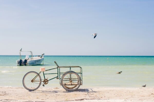 SFEERBEELD dag 11Holbox 5