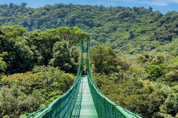 Dag 10 Monteverde Treetop-Walkways-Selvatura-Park-9