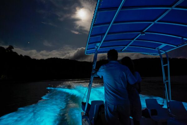 Dag 11 Nicoya Peninsula bioluminescentie-tour