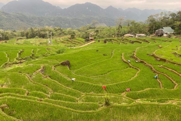 Dag 7 Pu Luong trekking