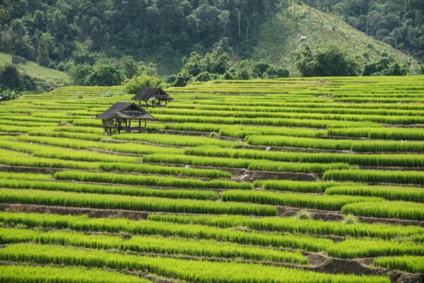 Dag 8 - Mai Chau