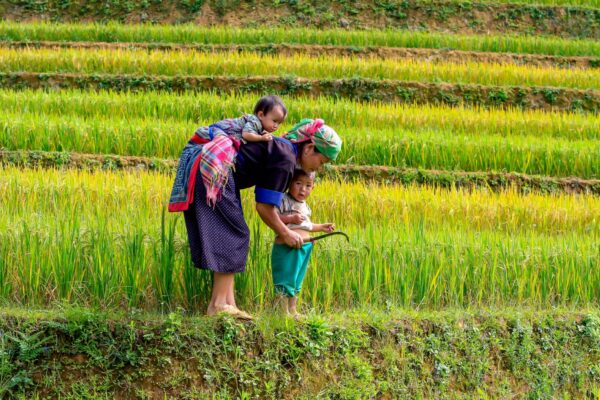Dag 8 - Mai Chau