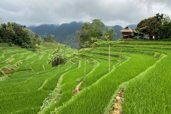 Pu Luong trekking (5)