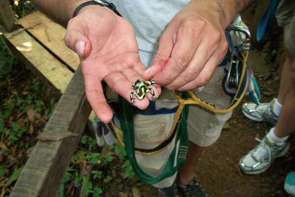 costa-rica (27)