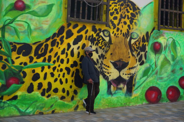 Bogotá _ La Candelaria _ Graffiti Señor