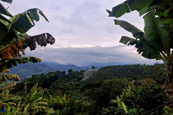 foto uitzicht andes maike colombia