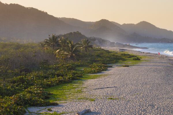 Tayrona park