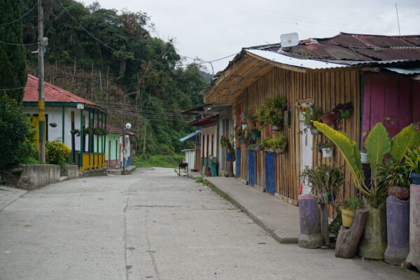 La Carbonera _ Toche