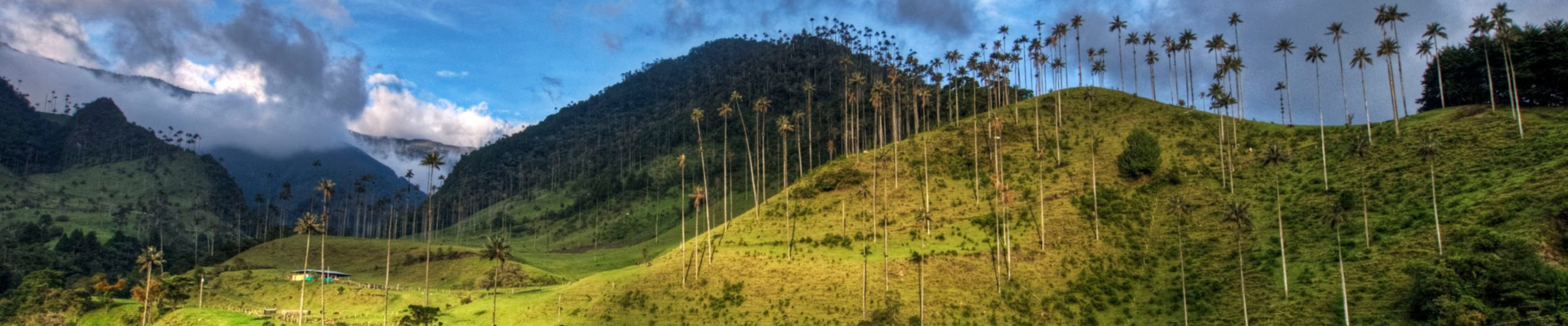 Landschap in Colombia