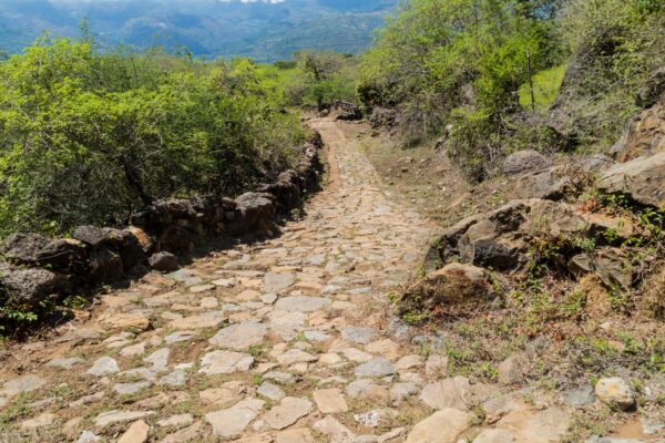 camino real Guana