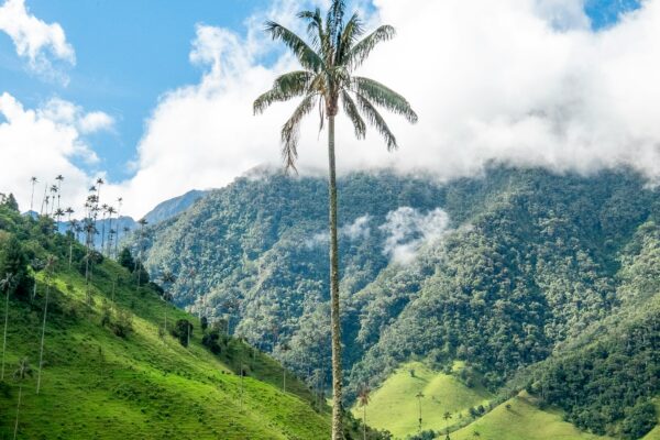 christian-holzinger-wVnBd8wm1Cc-unsplash